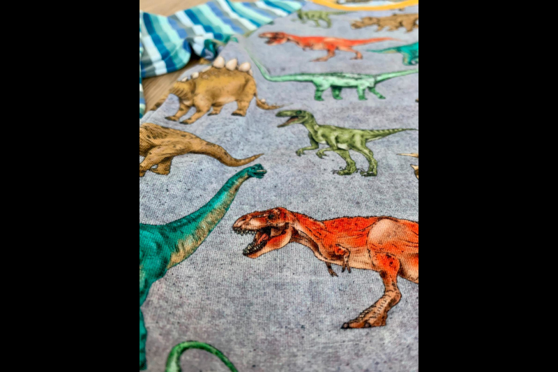 Detail Dinoshirt